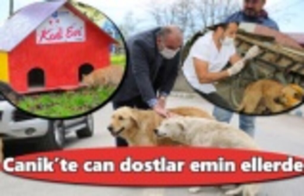 Canik’te can dostlar emin ellerde