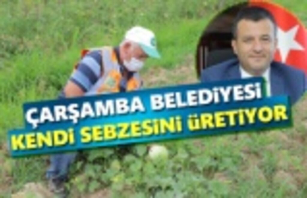 Çarşamba Belediyesi Kendi Sebzesini Üretiyor