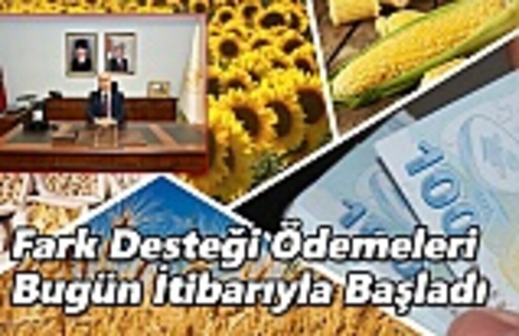 Fark Desteği Ödemeleri Bugün İtibarıyla Başladı