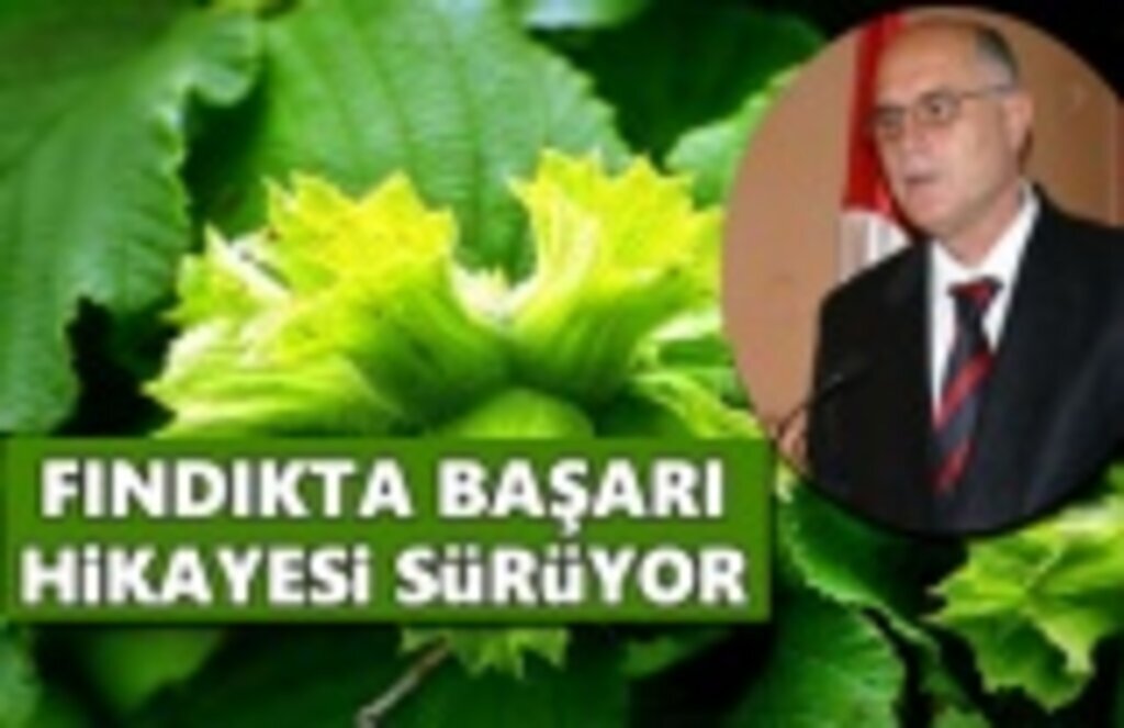 Fındıkta Başarı Hikayesi Sürüyor
