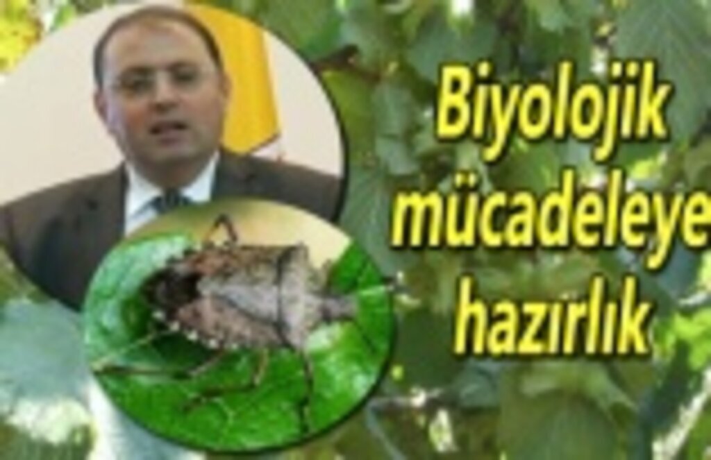 Fındıkta Biyolojik mücadeleye hazırlık