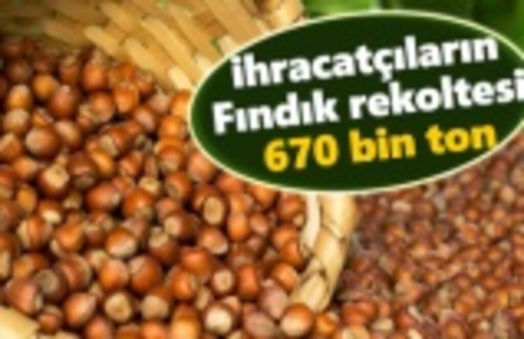İhracatçıların fındık rekoltesi 670 bin ton