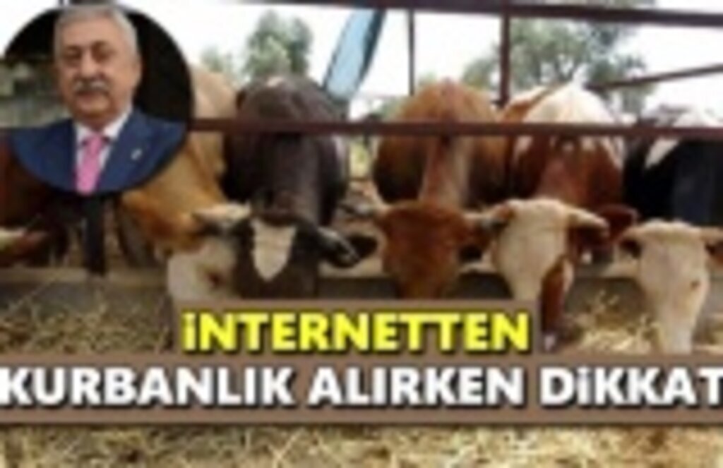 İnternetten Kurbanlık Alırken Dikkat!