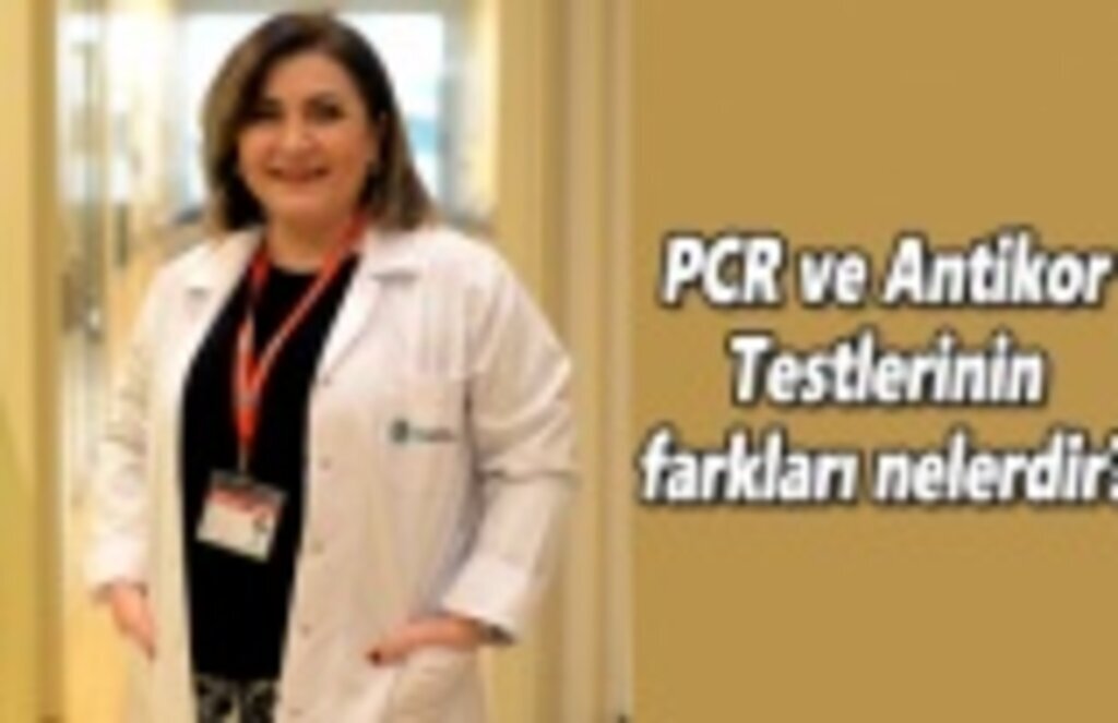 PCR ve Antikor Testlerinin farkları nelerdir?