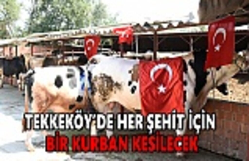 Tekkeköy'de her şehit için kurban kesilecek