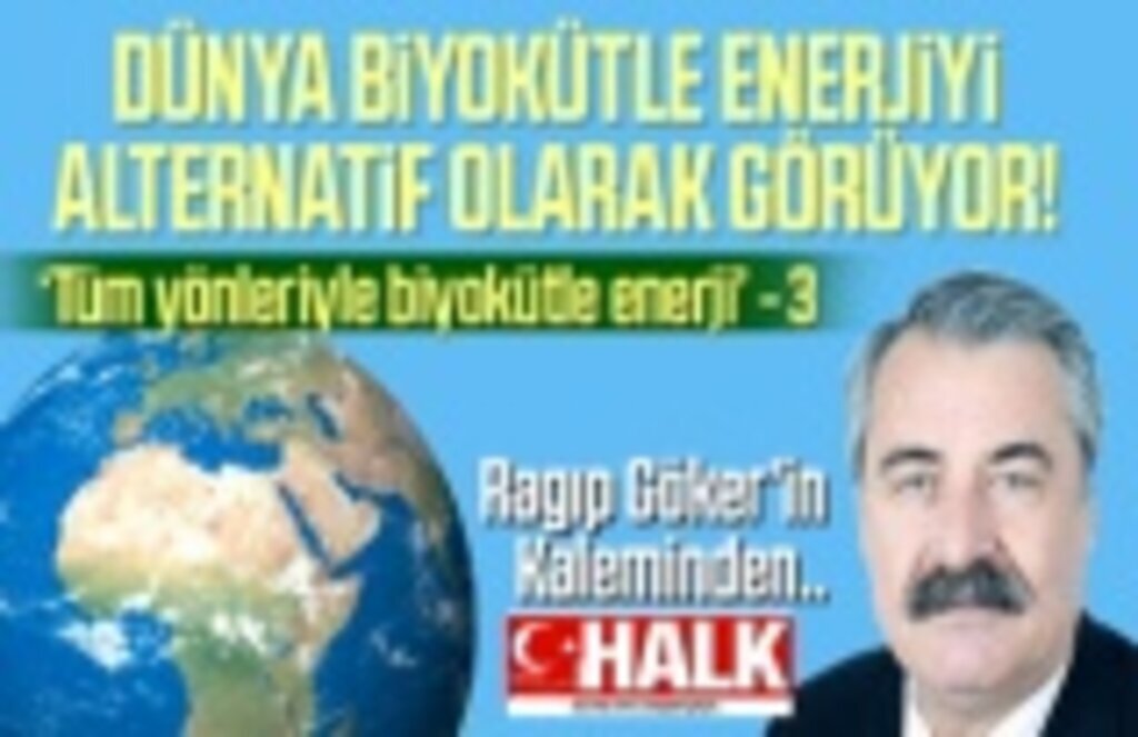 Tüm yönleriyle biyokütle enerji, bilimsel bir yazı dizi - 3