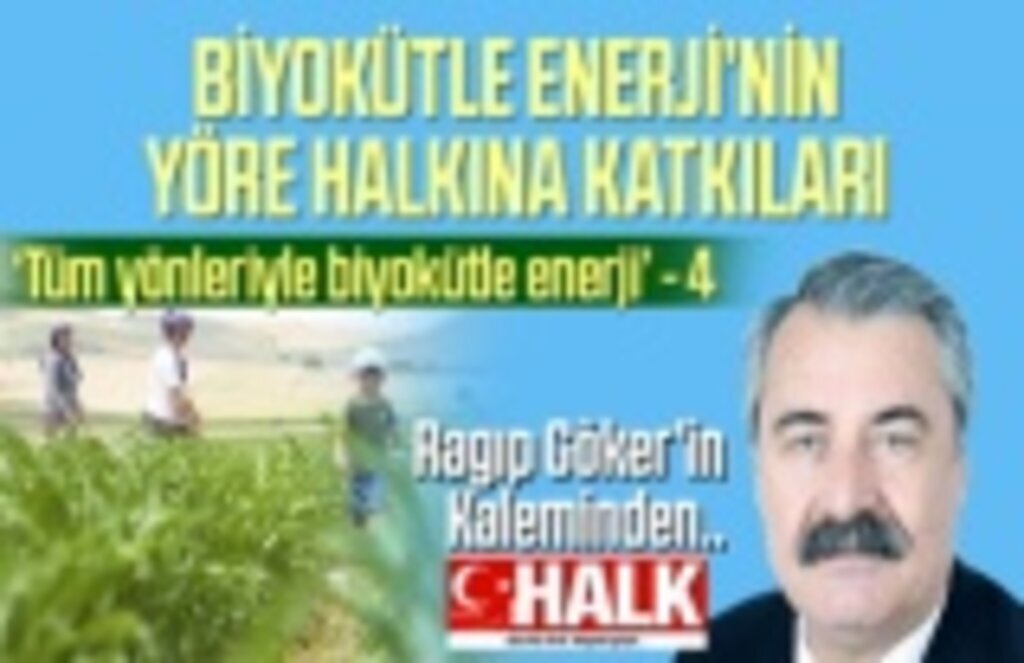 Tüm Yönleriyle Biyokütle Enerji - Yazı dizisi 4