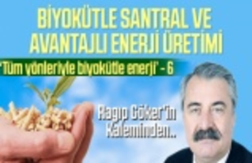 Tüm Yönleriyle Biyokütle Enerji - Yazı dizisi 6