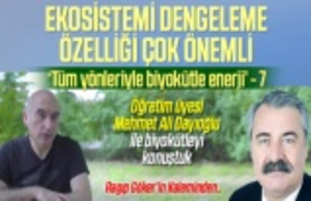 Tüm Yönleriyle Biyokütle Enerji - Yazı dizisi 7