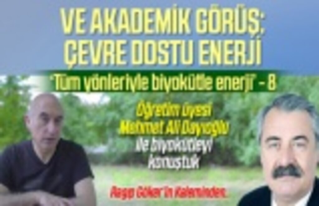 Tüm yönleriyle Biyokütle enerji- Yazı dizisi 8