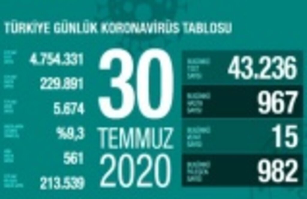 30 Temmuz Türkiye koronavirüs tablosu - Yeni Hastalar artıyor!