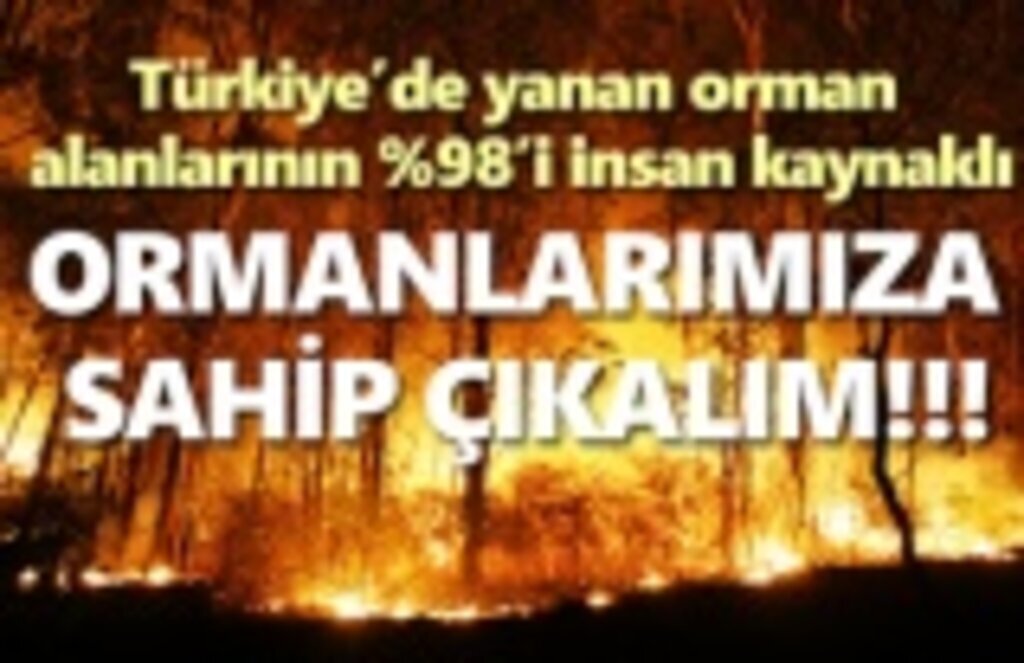 Türkiye’de yanan orman alanı büyüklüğü 2 kat arttı!