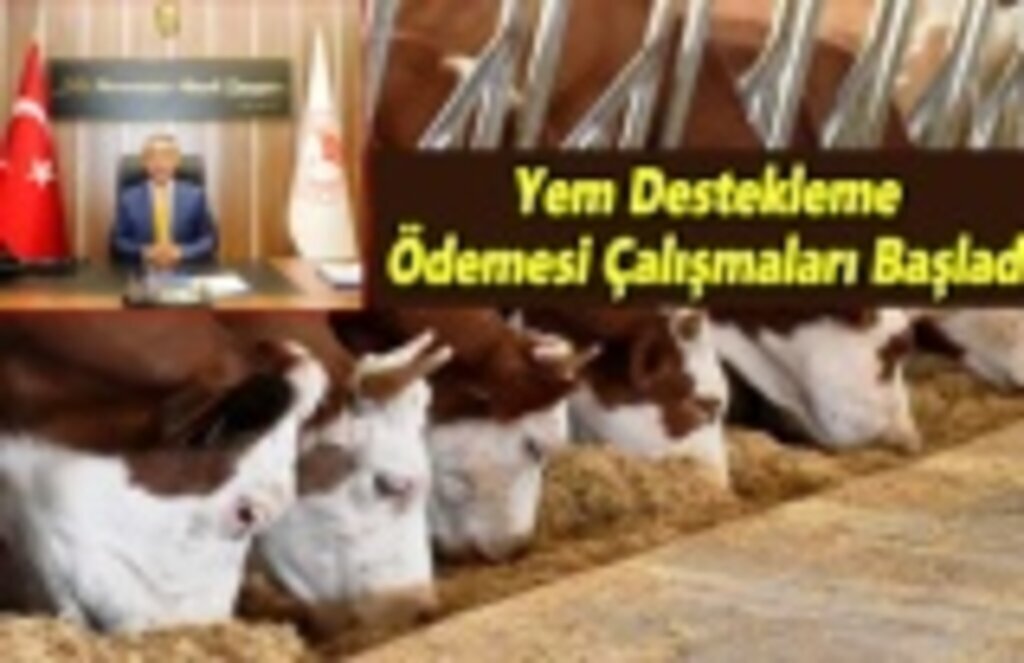 Yem Destekleme Ödemesi Çalışmaları Başladı