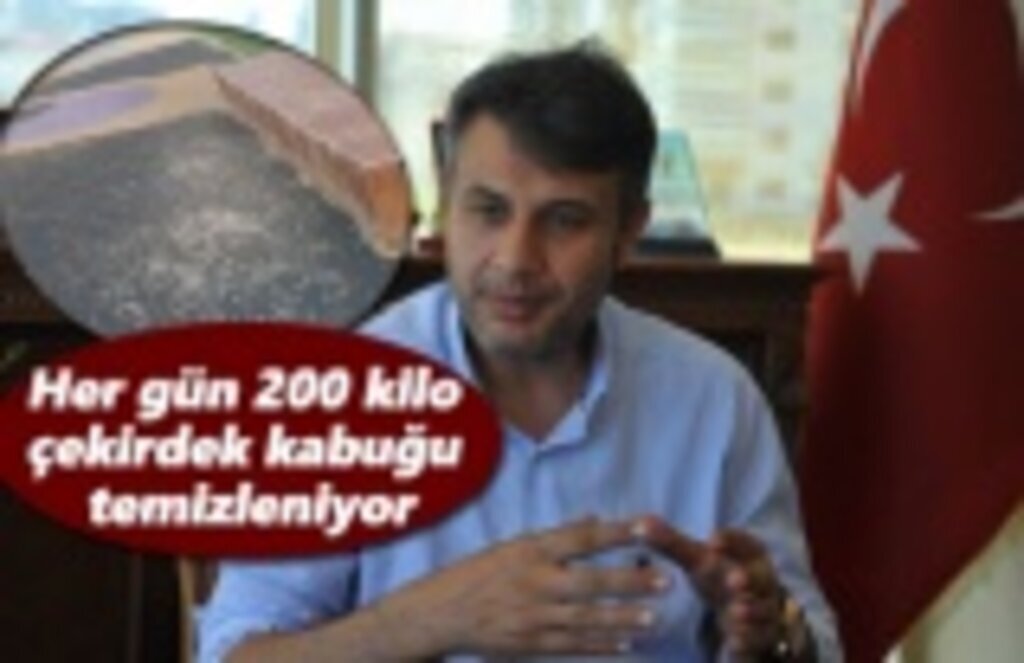 Her gün 200 kilo çekirdek kabuğu temizleniyor