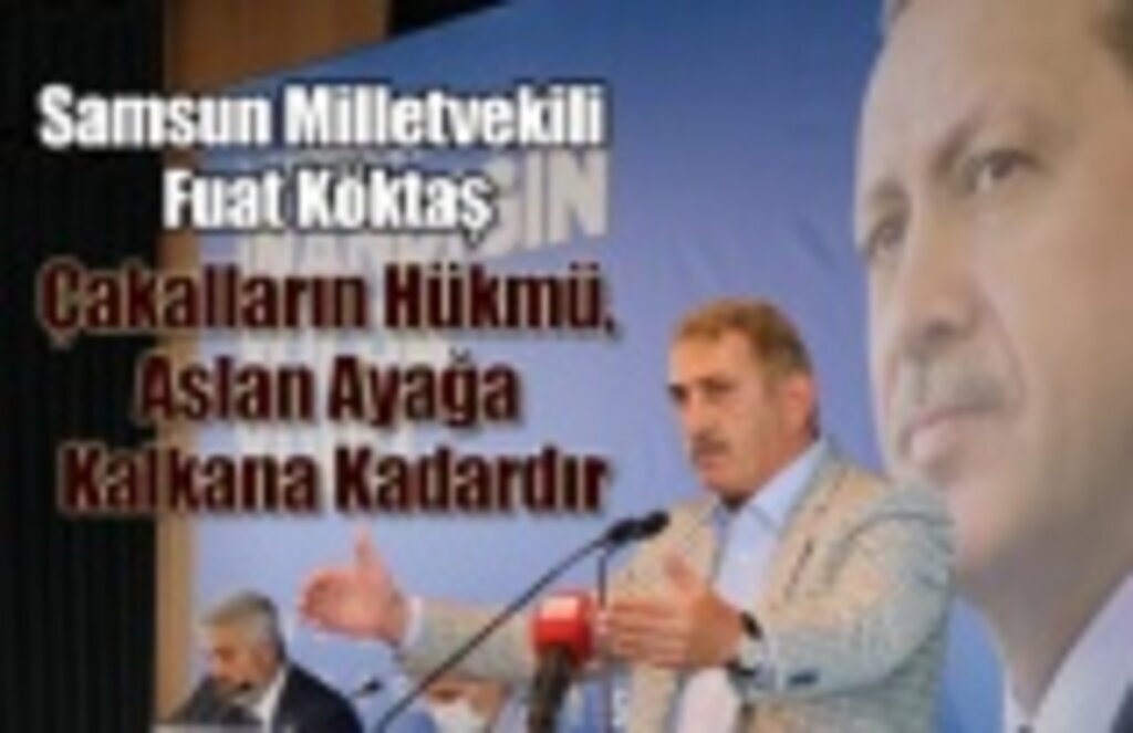 Milletvekili Köktaş: Çakalların Hükmü Aslan Ayağa Kalkana Kadardır