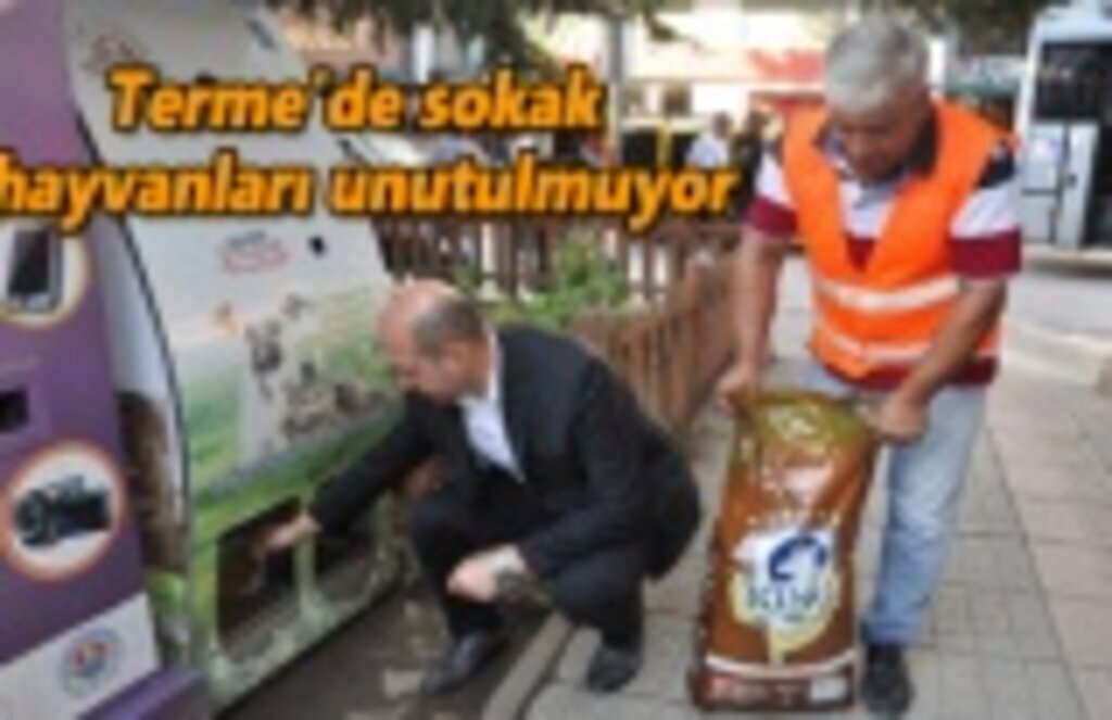 Terme'de sokak hayvanları unutulmuyor