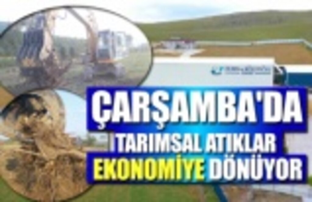 Çarşamba'da tarımsal atıklar ekonomiye dönüyor