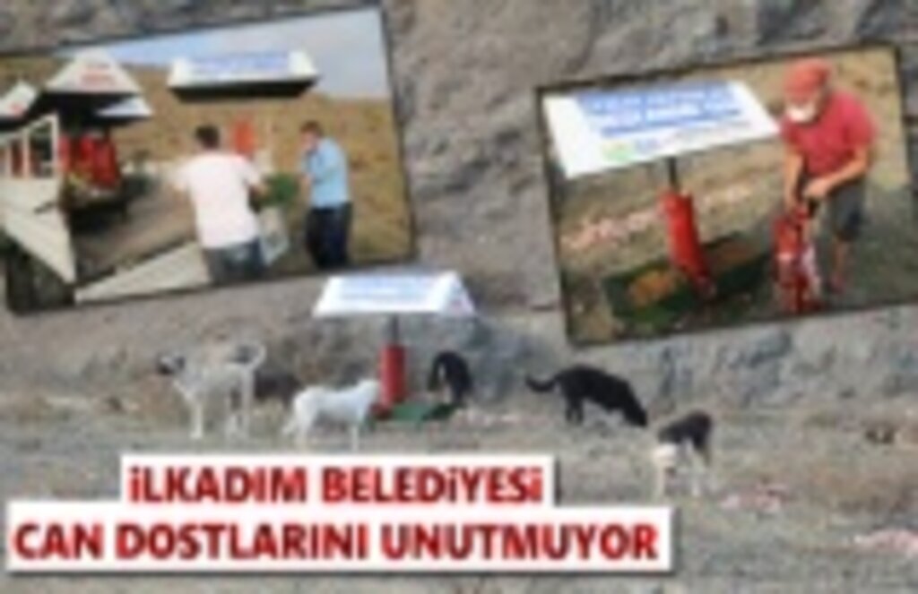 İlkadım Belediyesi can dostlarını unutmuyor