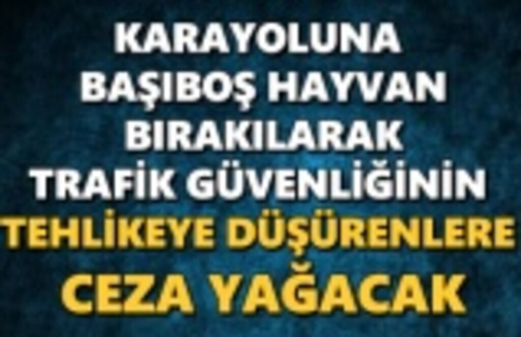 Karayoluna Başıboş Hayvan Bırakanlara Ceza Yağacak
