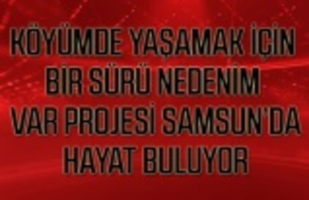Köyünde yaşamak isteyenlerin dikkatine! Tam sizlik proje - Samsun Haber