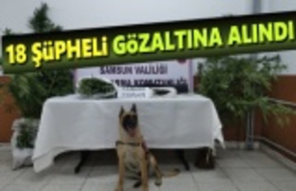 Uyuşturucu Madde ve Ateşli Silah Ele Geçirilerek 18 Şüpheli Gözaltına Alındı