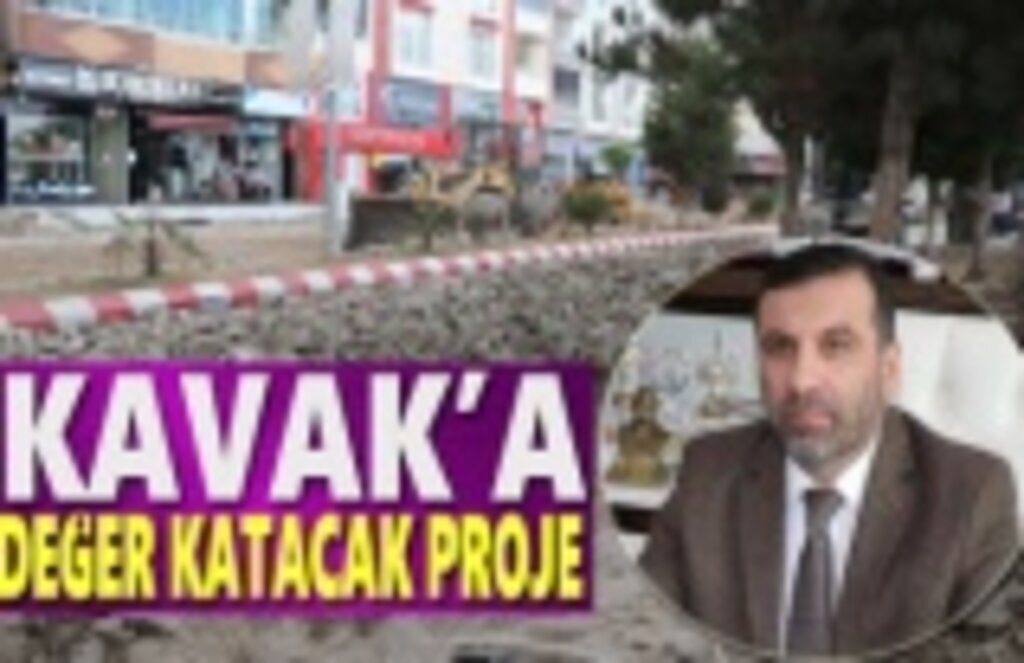 Kavak'a Değer Katacak Proje