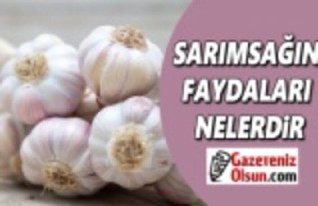 Sarımsağın mucizevi faydaları nelerdir?