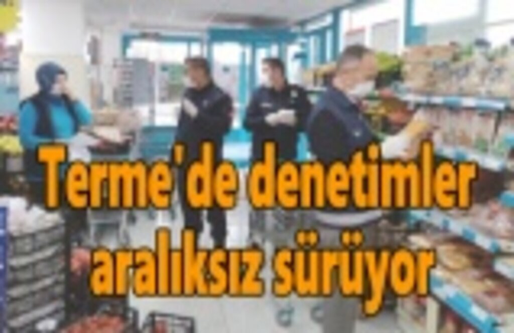 Terme'de denetimler aralıksız sürüyor