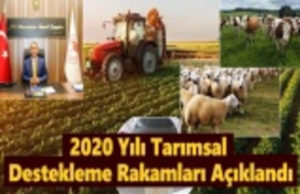2020 Yılı Tarımsal Destekleme Rakamları Açıklandı