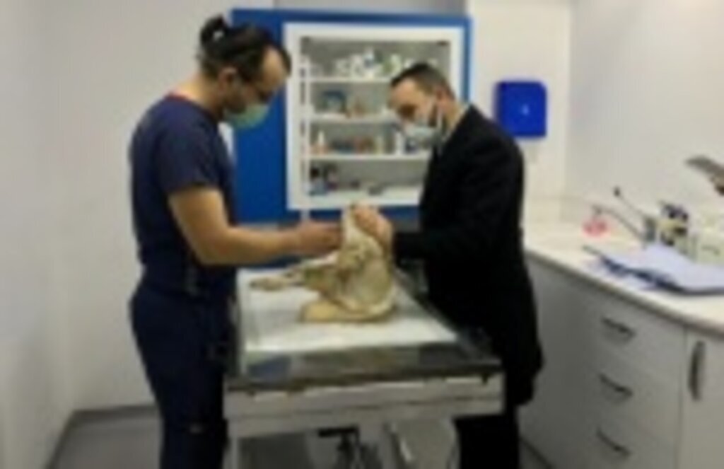 Başkan Köstek tedavisi devam eden 'Pamuk'u ziyaret etti