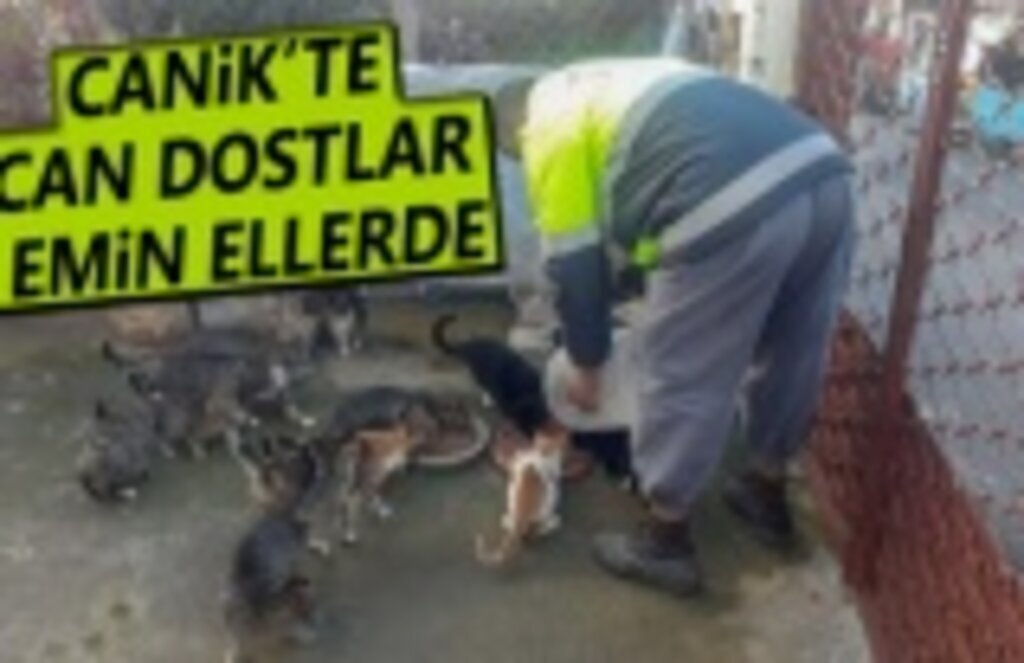 Canik'te can dostlar emin ellerde