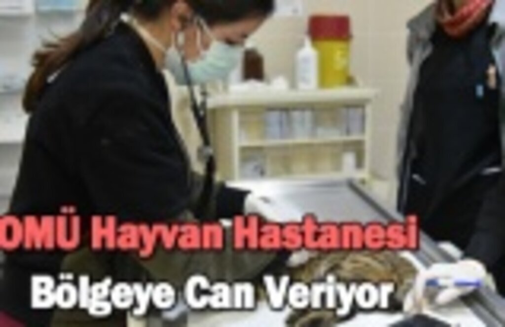 OMÜ Hayvan Hastanesi Bölgeye Can Veriyor