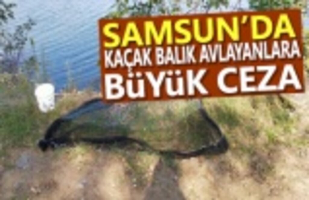 Samsun'da kaçak balık avlayanlara ceza yağdı