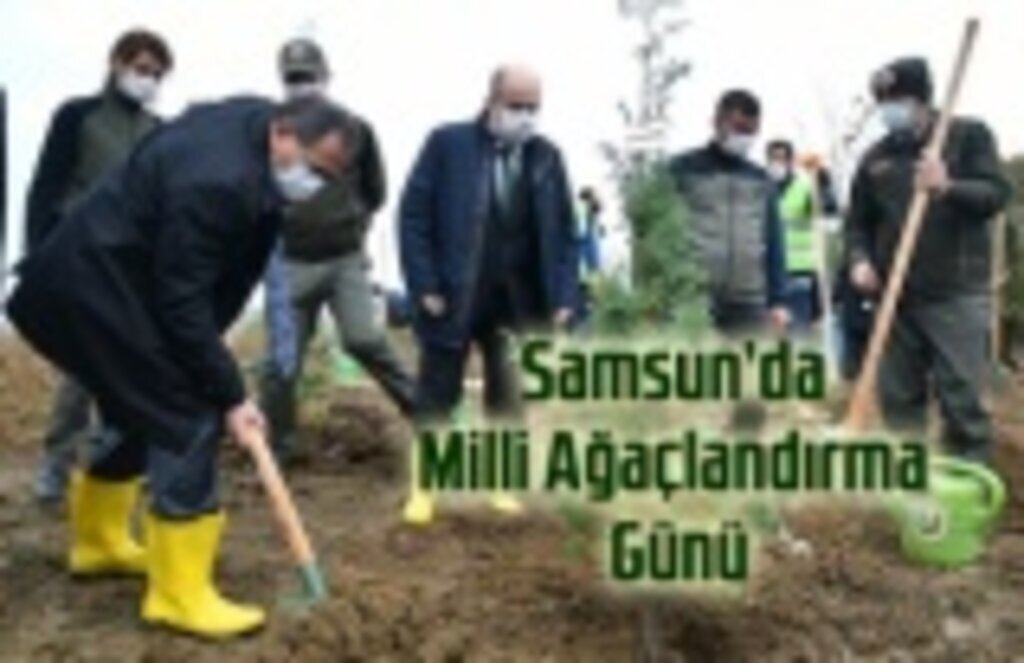 Samsun’da Milli Ağaçlandırma Günü