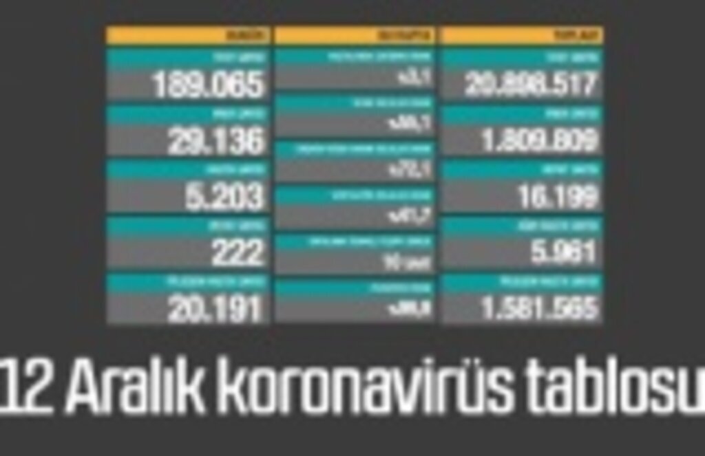 12 Aralık Cumartesi koronavirüs tablosu