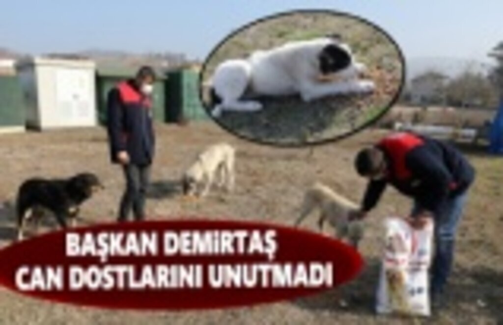 Başkan Demirtaş, Can Dostları Unutmadı