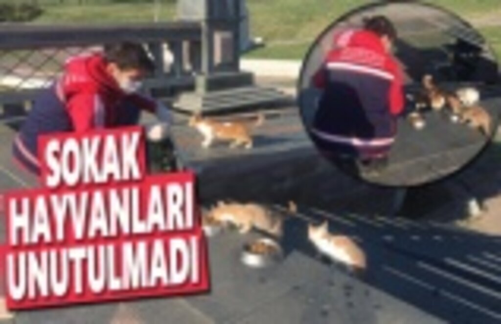 Büyükşehir onları hiç unutmadı