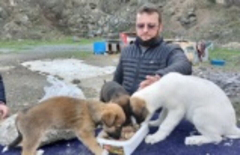 Canik Hayvanseverler Derneği sokaktaki dostları unutmadılar