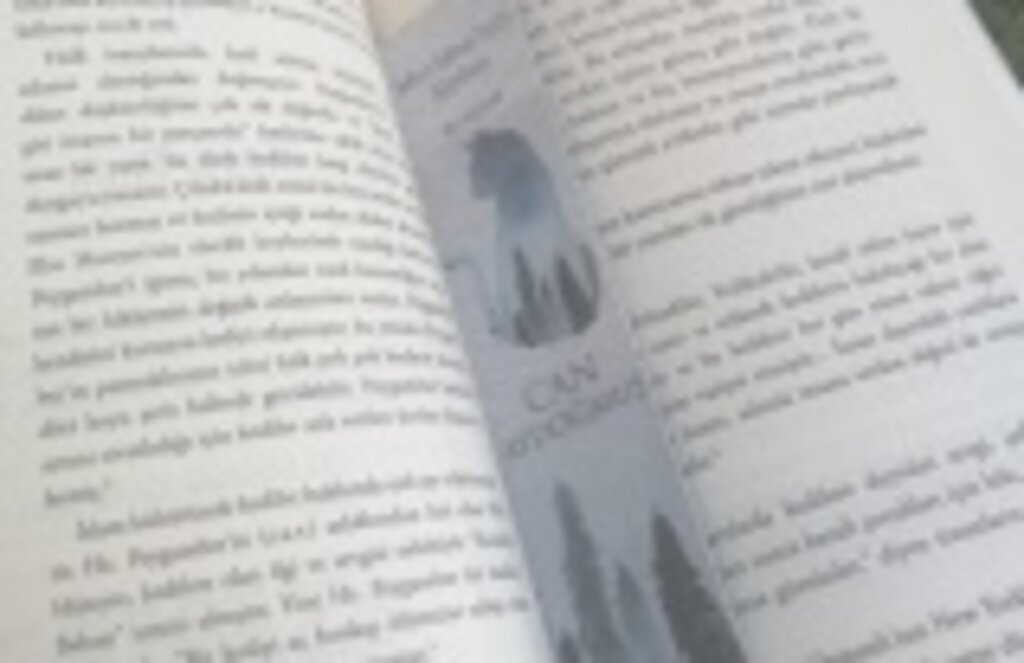 Mevlâna ve Kedi Sevgisi Roman Yazdırdı