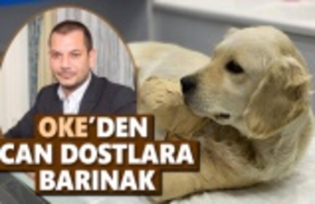 OKE'den Can Dostlara Barınak