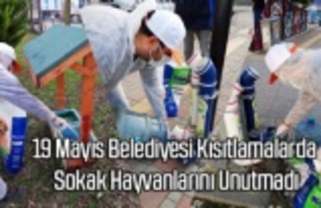 19 Mayıs Belediyesi Kısıtlamalarda Sokak Hayvanlarını Unutmadı