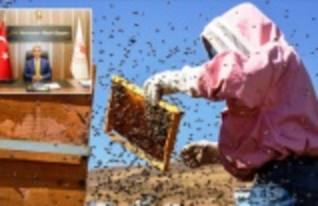 Arıcılık Destekleme Tebliğinde Değişiklik Yapıldı