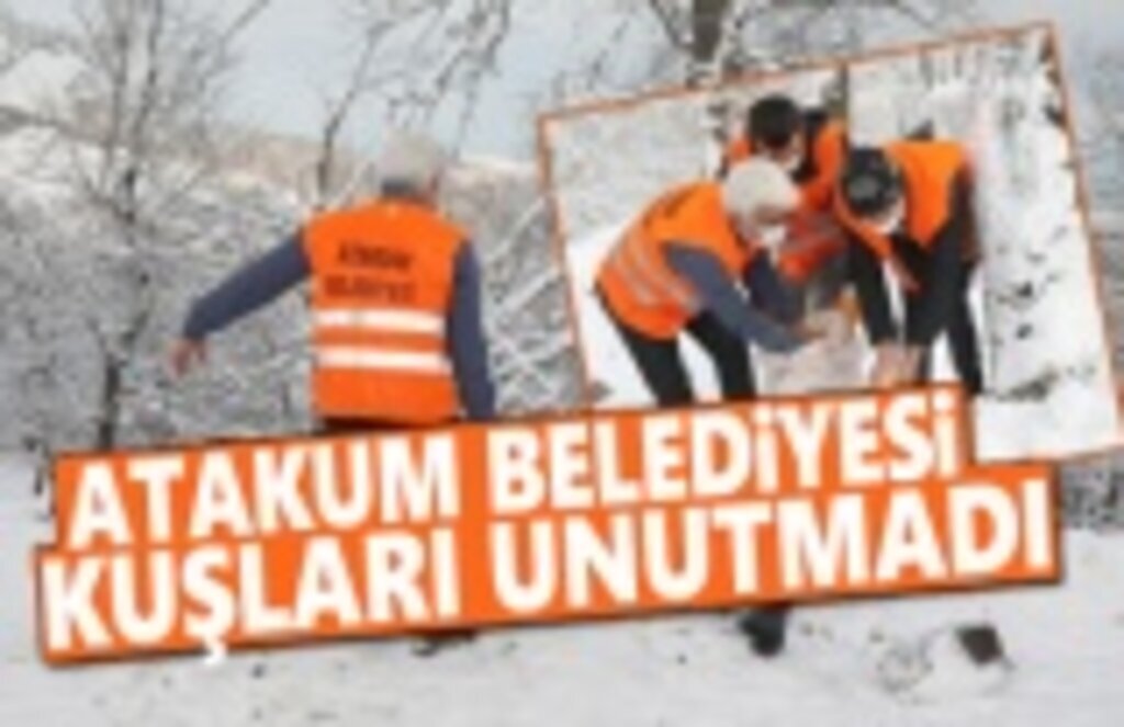 Atakum Belediyesi’nden 42 farklı noktada kuşlara yem desteği