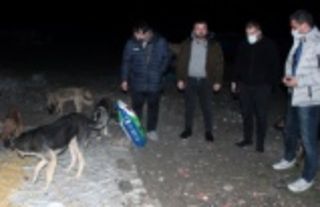Canikli hayvanseverler yeni yıla bakın nasıl girdiler!