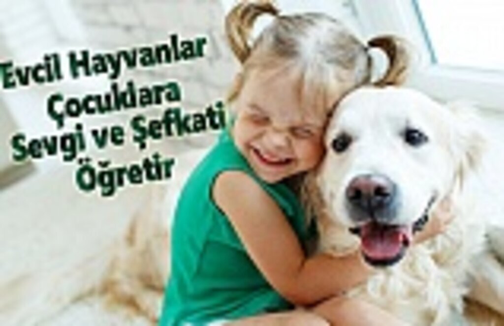 Evcil Hayvanlar Çocuklara Sevgi ve Şefkati Öğretir