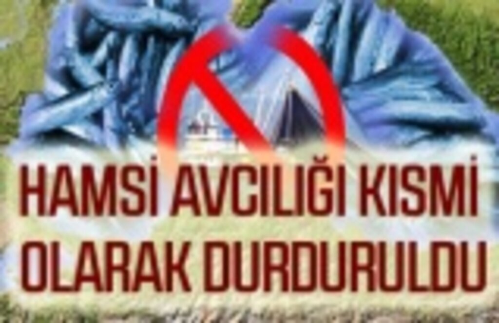 Hamsi avcılığı neden durduruldu! Hamsi'yi bekleyen büyük tehlike