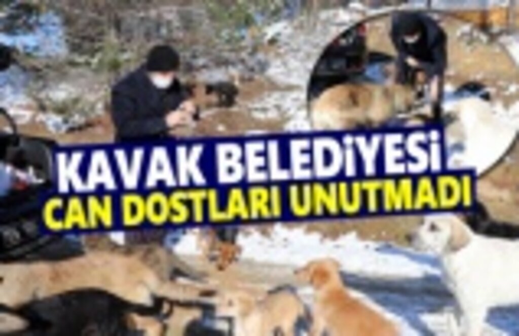 Kavak'ta Can Dostlar Unutulmadı