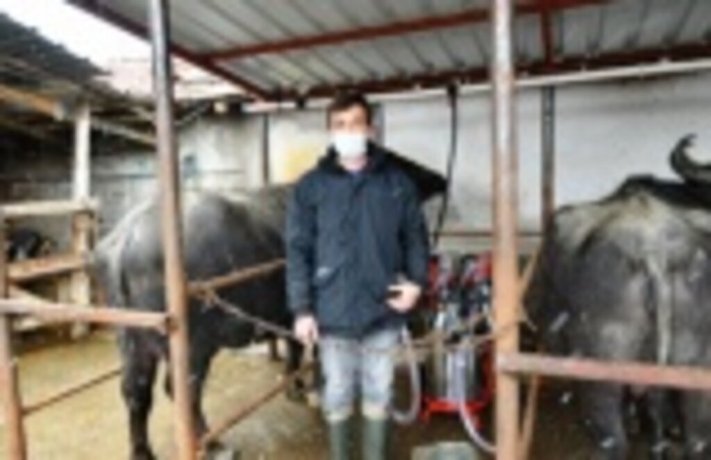 Manda Üreticisi'nin yüzünü güldüren proje