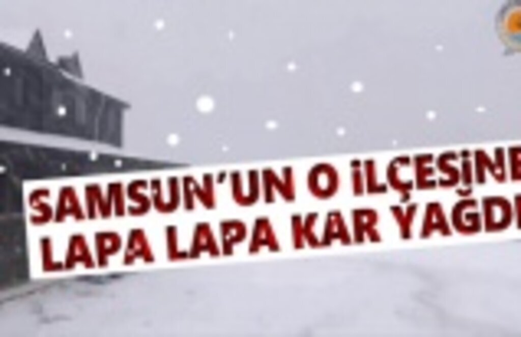 Samsun'da kar sevinci, Samsun'un Ladik İlçesi beyaza büründü