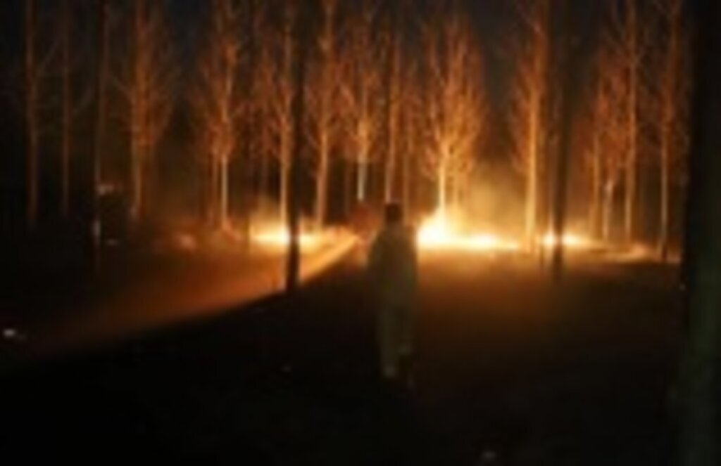 Samsun'da orman yangınları söndürüldü